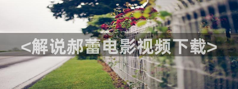 樱花视频tv