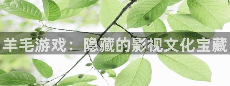 樱花视频污版