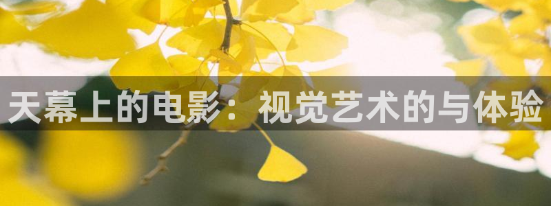 樱花视频最新电视剧更新