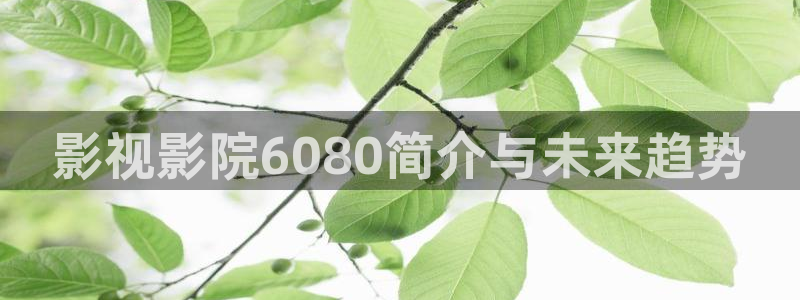 樱花视频,