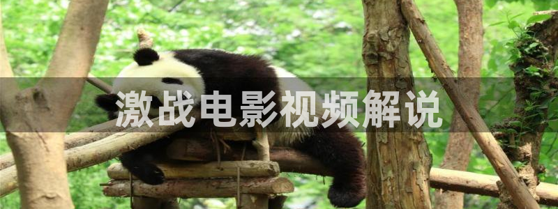 樱花影视免费版在线观看