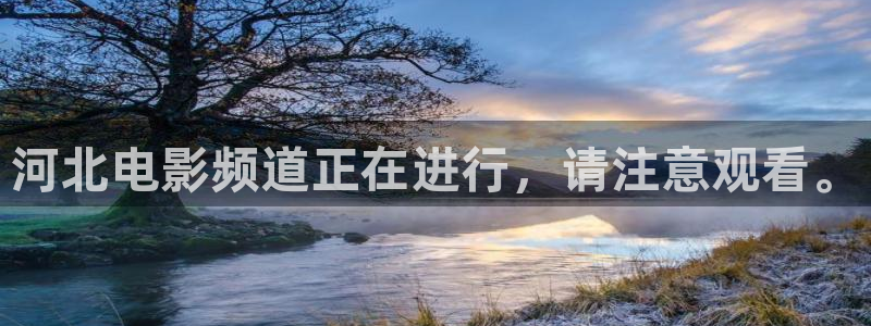 樱花视频大全