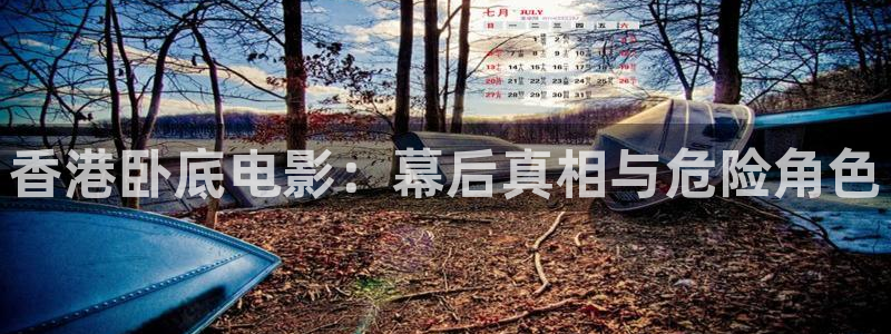 樱花视频电影完整版