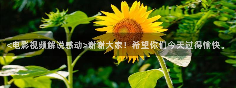 樱花视频动漫免费看