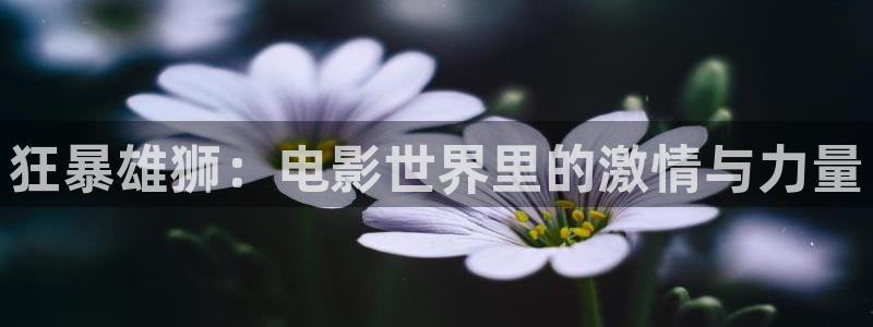 樱花视频高清免费看
