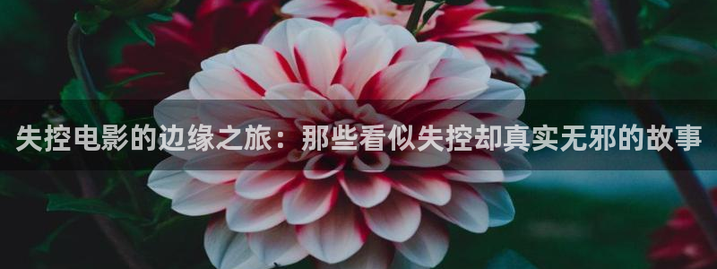 红樱花视频